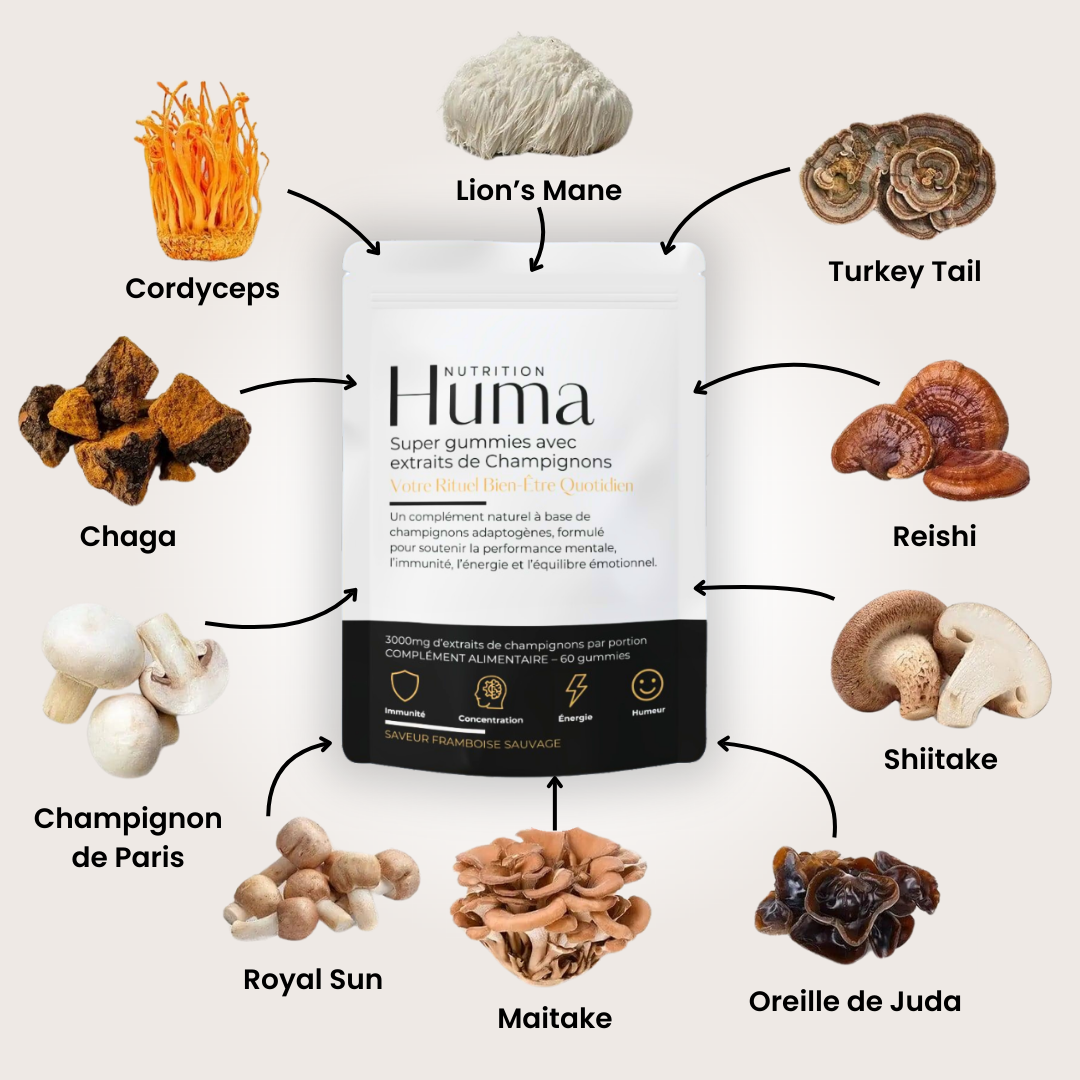 Gummies aux Super Champignons – Énergie, Calme & Clarté Mentale